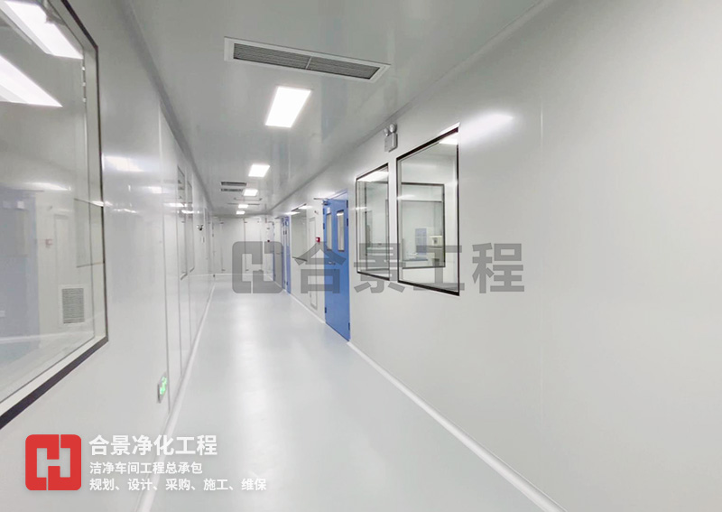 醫(yī)療器械潔凈廠房項(xiàng)目 醫(yī)療器械潔凈廠房項(xiàng)目